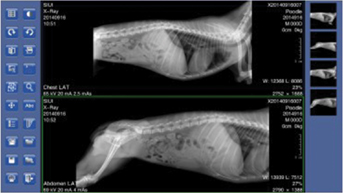 Software del SIUI SR-8100 Rayos X veterinario portatil