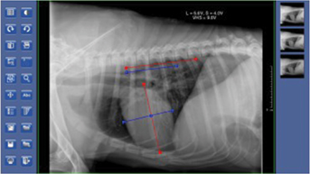 Software del SIUI SR-8100 Rayos X veterinario portatil